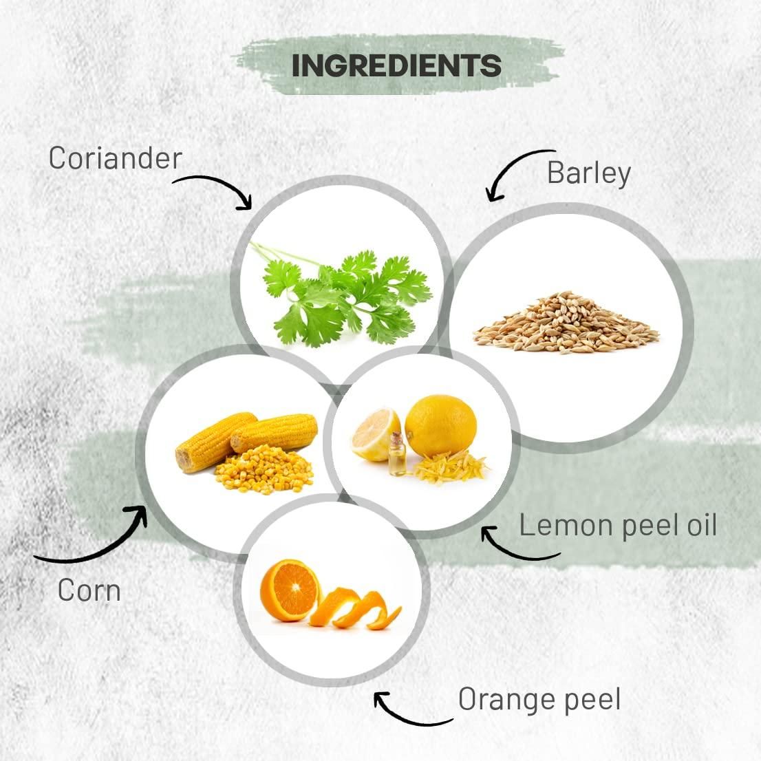 BEER Shampoo For Dry and Frizzy Hair 210 ml (Pack of 2)